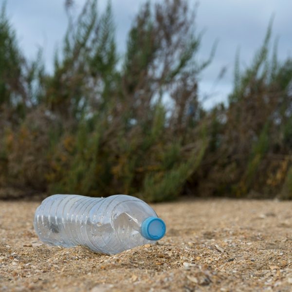 Ecologically Aware